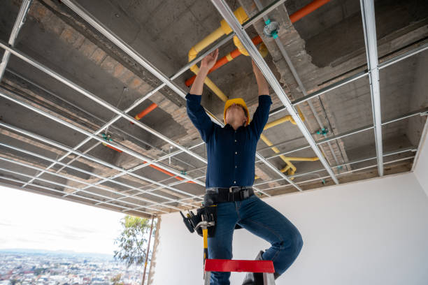 Best Emergency Plumber  in Shelbyville, TN