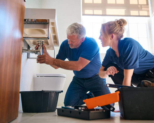Best Septic Systems  in Shelbyville, TN