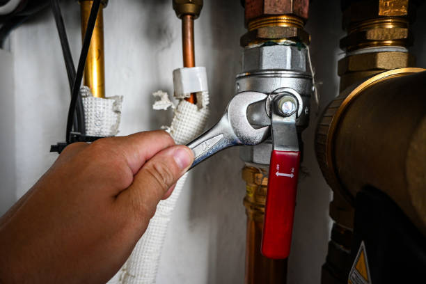 Best Affordable Plumbing Services  in Shelbyville, TN